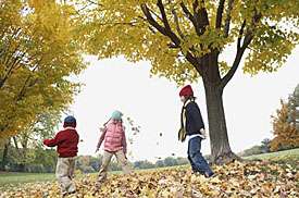 Child Custody